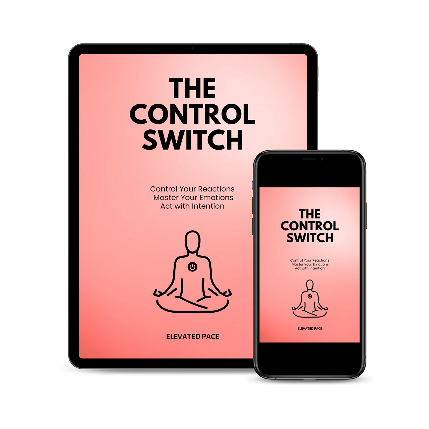 The Control Switch