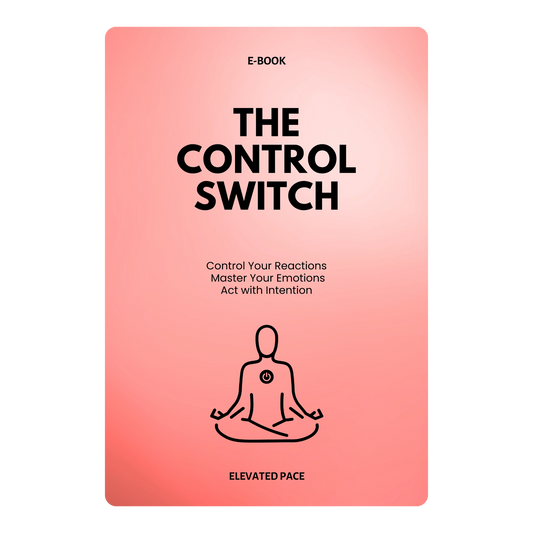 The Control Switch