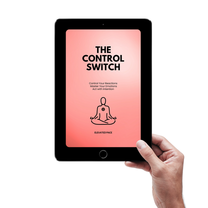 The Control Switch